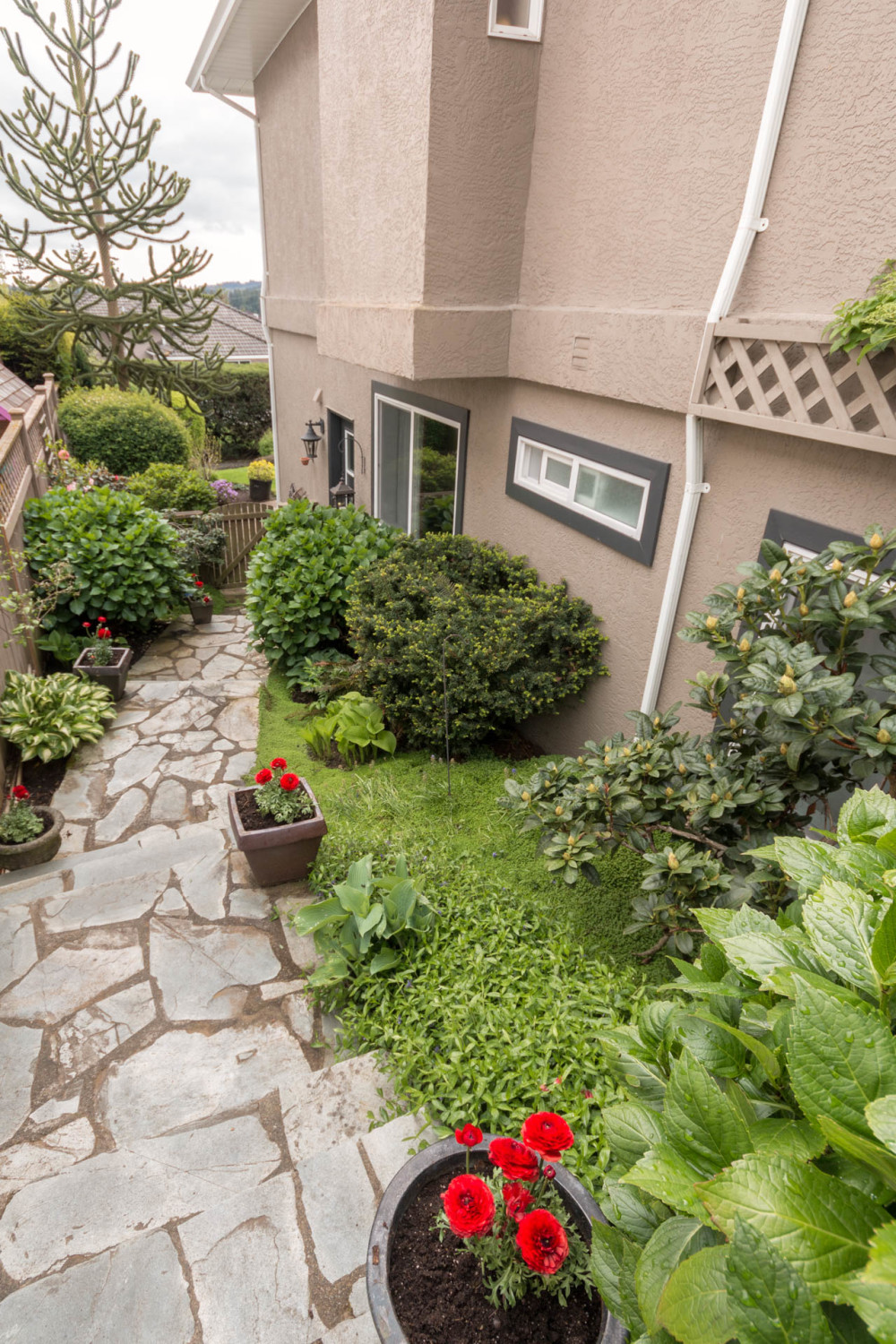 2325_Evelyn_Heights-47